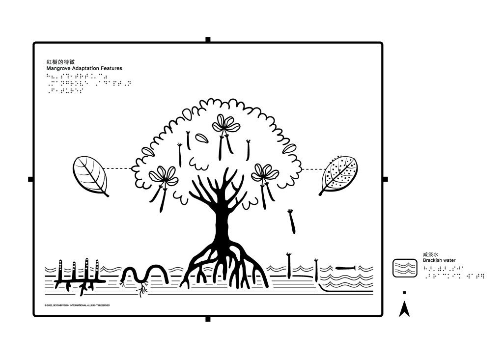 紅樹的特徵觸感聽覺互動系統，語音介紹請見以下音檔