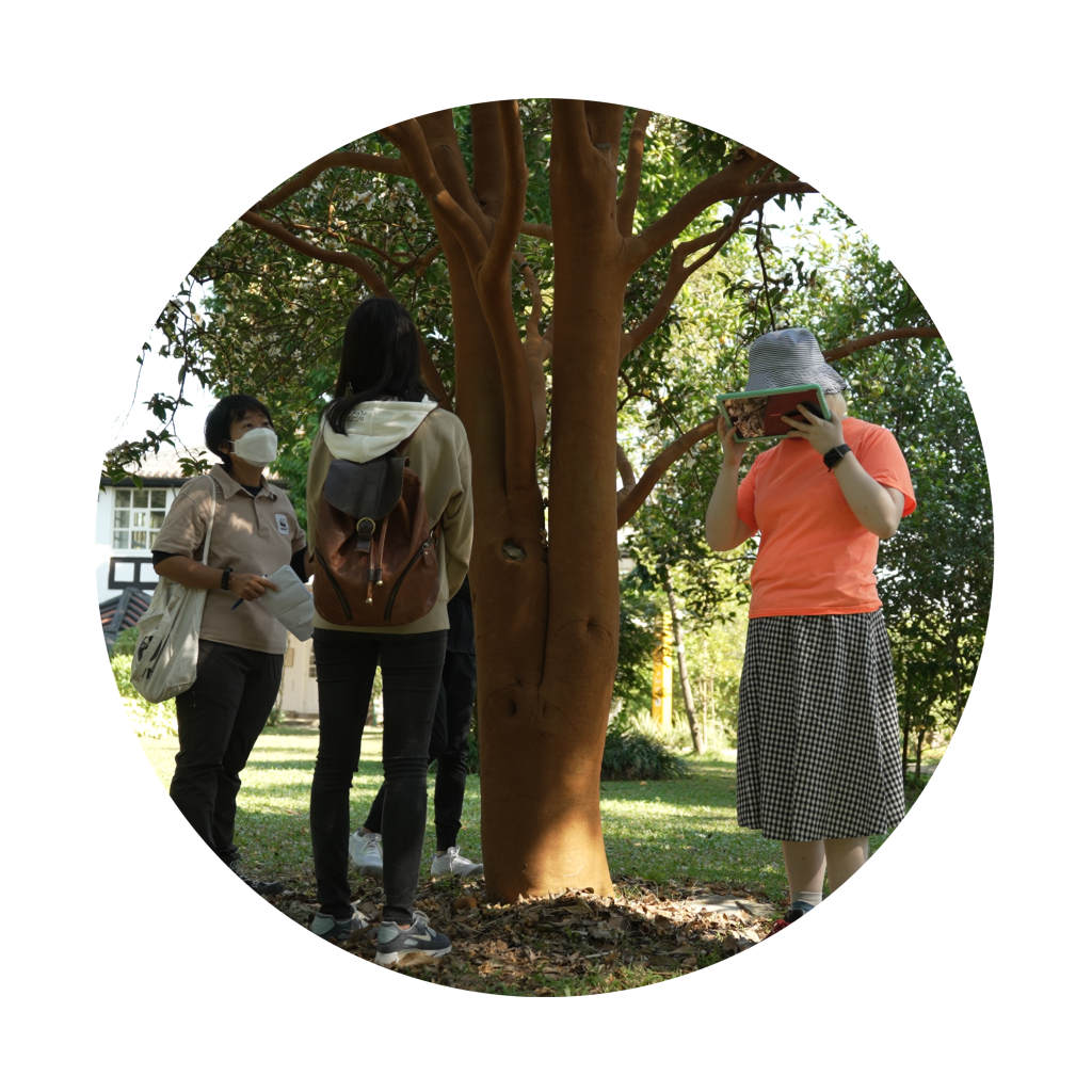 圓形相片，兩名視障學員及一位WWF的導師圍繞一棵橙啡色的樹木，導師向其中一位學員分享，另一名學員則提起平板電腦於眼前閱讀資料。