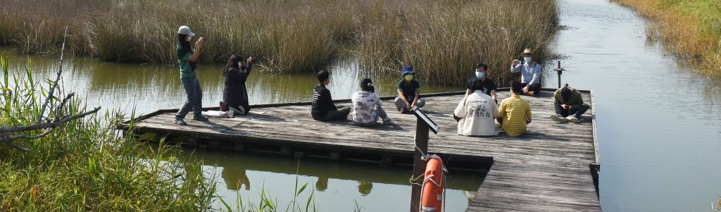 導賞團參加者在米埔池塘中寬闊的木平台藉地而坐。